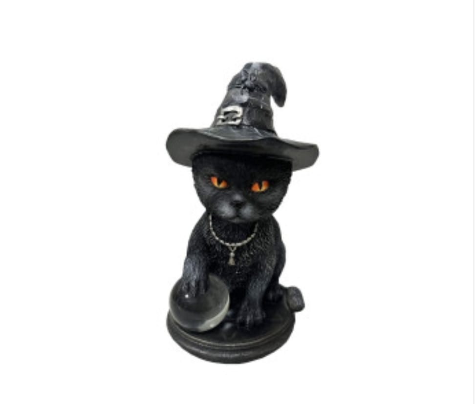 Gato de la Protección con Bola de Cristal