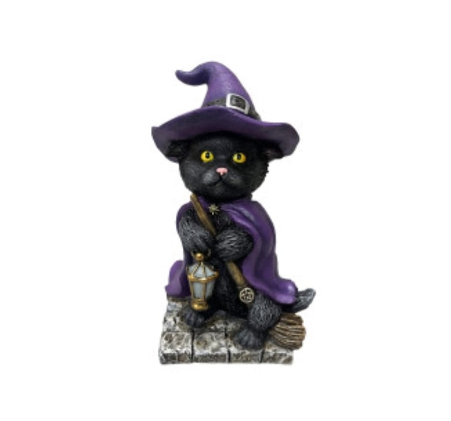 Gato escoba